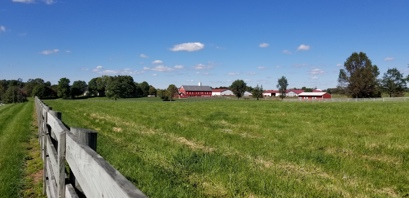 Terra Rubra Farm - Keysville Bruceville Rd