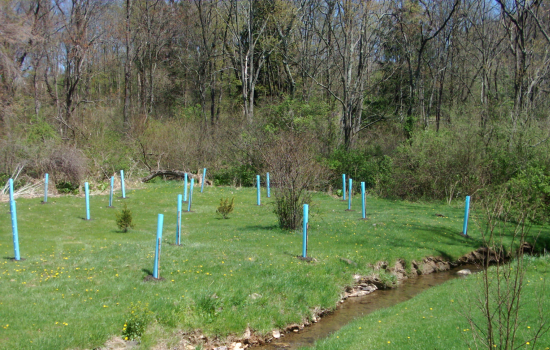 Resource Management Division