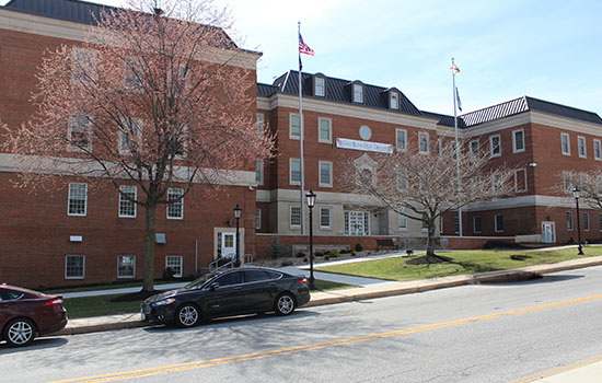 Why You'll Love Working Here