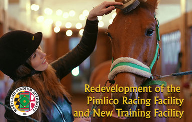 Female horse rider grooming a brown horse in a stable